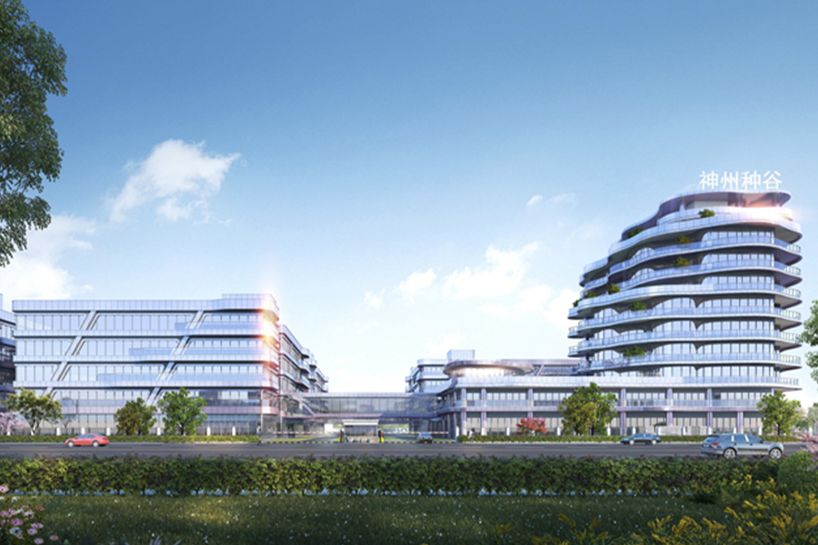 وادي بذور أنكينغ شنتشو